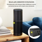 Eu Ac Electric Socket Zigbee Alexa Wifi Smart Plug