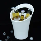 hot sale 4 liter plastic cooling beer champagne wine ice bucket box for party custom