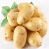 /product-detail/chinese-holland-seed-potato-at-good-price-60529147549.html