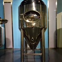 100l 500l Hotel Fresh Beer Brewing