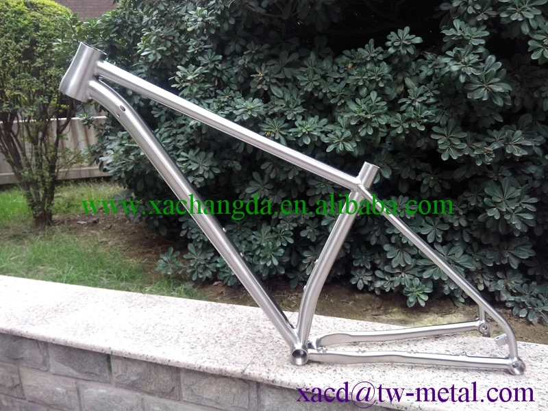 mtb frame04.jpg
