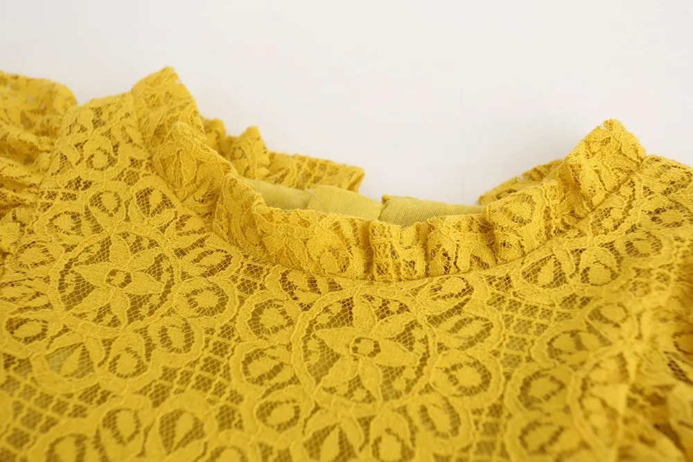 4556997126_266498052