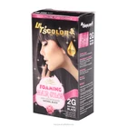 salon precise foam coverage professional and permanet hair dye spray