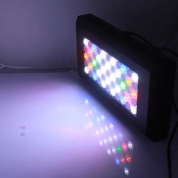 Aquarium Light -7.jpg