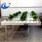 حار بيع نيكزس الدفيئة أنظمة تزايد المائية مزرعة معدات انحسار و تدفق المتداول مقاعد البدلاء