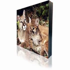 Outdoor waterproof ip65 rgb led sign p6 led digital billboard