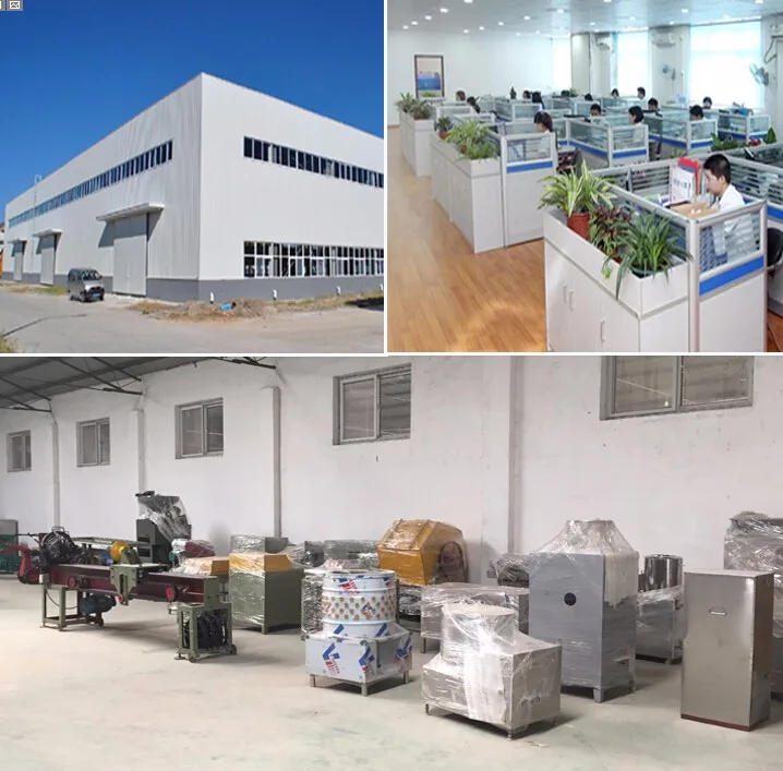 Our company