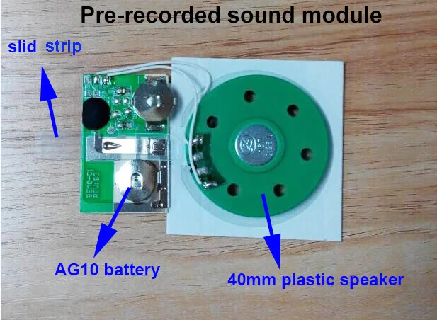 pre-recorded sound module 1.jpg