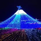 Wedding Fairy Christmas Lights Outdoor warm white tree decoration led string light set