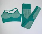 Seamless Tracksuit 2 Piece Set Women Summer Athletic Sexy Yoga Fitness Work out Clothing
