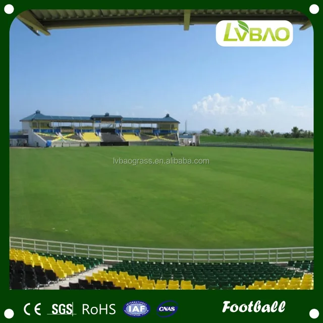 Artificial Cricket Grass /Football Grass/Tennis Grass