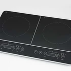 3500w 2 heads Double burner induction cooker manufacture