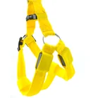 Pet accessories wholesale china nylon led dog harness