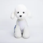 Summer Fashion Cotton T-Shirt Cool Dog Clothes For Small Dogs
