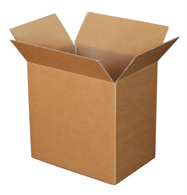 Brown_Carton_Box_for_Packaging.jpg