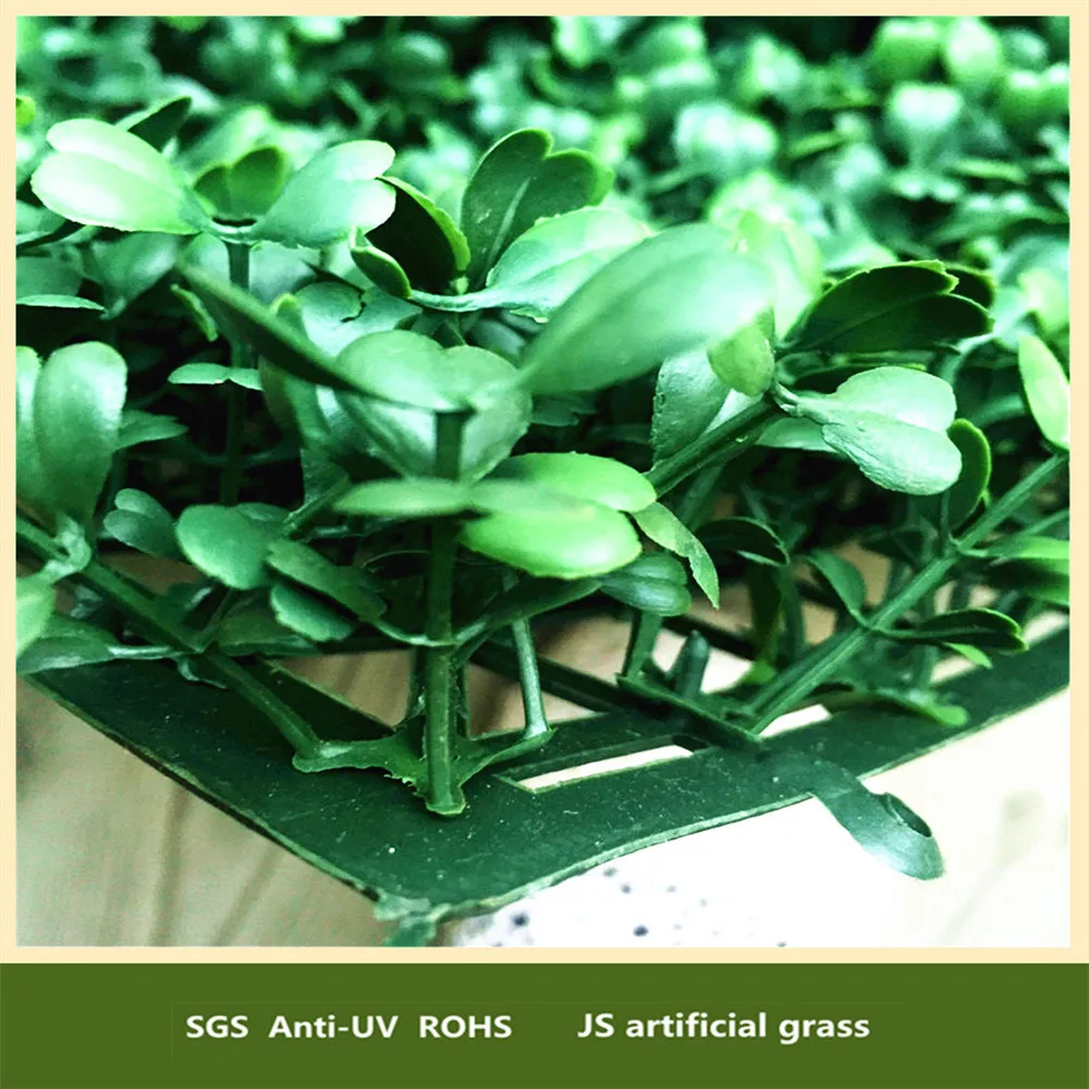 Professional Boxwood Hedges Wall For Home