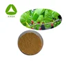 Mulberry Leaf Extract 1-DNJ / 1-deoxynojirimycin Powder With Best Price