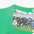 Custom color printing folded flyer saddle stitching brochure