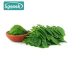 plant Extract 100% natural food additive high purity Moringa leaf powder