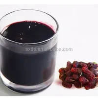 Mulberry Fresh Fruit Extract Powder Juice