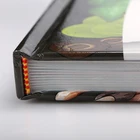 Fancy graceful fine art customized delicate coloring hardcover photo albums book printing