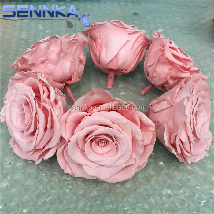 all industries  agriculture  ornamental plants  dried flowers