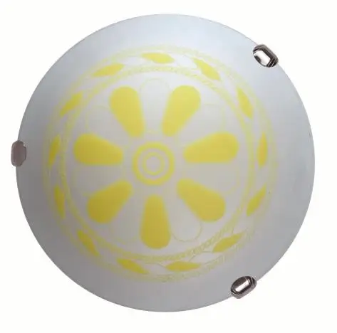 factory supply elegant body ceiling light, ceiling lights ip20 led with CE certificate