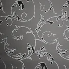Thriking Glass new design silk screen printing acid etched glass door price