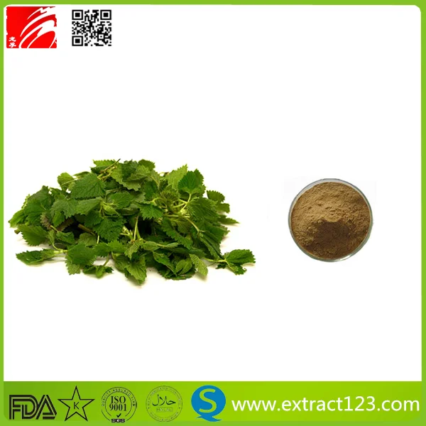 stinging nettle leaves extract beta-sitosterol