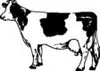 Farming Animals Marketing Database