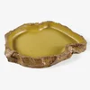 NOMOY PET wholesale Good price Nomoy resin food water bowl for reptile NS-71