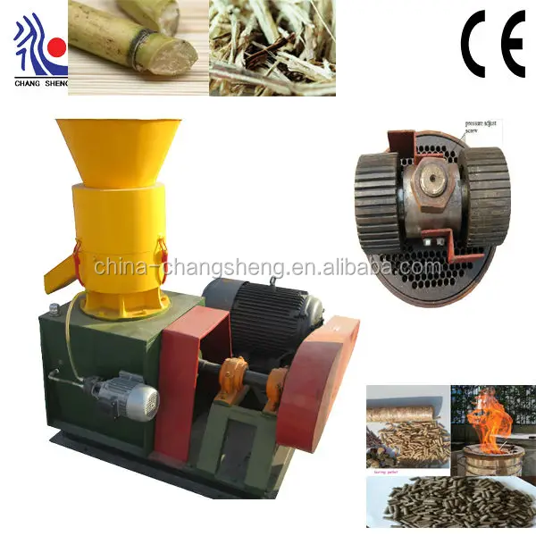 bagasse sugarcane waste