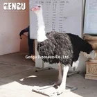 Animatronic 3D Animal Models Artificial Birds