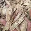 Raw herb materials Dried Auckiandia lappa Decne root slices for natural incense