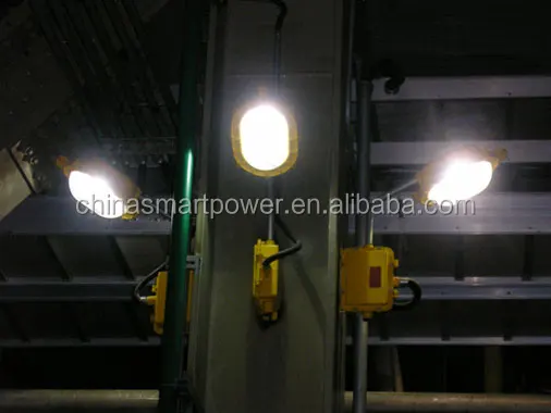 explosion proof light (13)
