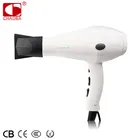 Best selling 2000W free standing electric motor for hair dryer guangdong Breeze 2800