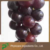 Low Prices Plant Derived Prevent Alzheimer