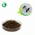 Black Ant Black High Quality Wholesale Pure Black Ant Powder