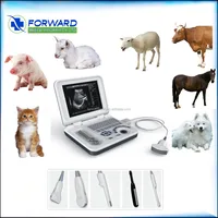 Vet Health Medical Equipment Mini Animal