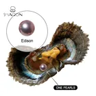 8-12mm Natural Freshwater Round Edison Pearl in Oyster