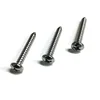 stainless steel DIN7981 screw for plastic pan head phillips self tapping screw