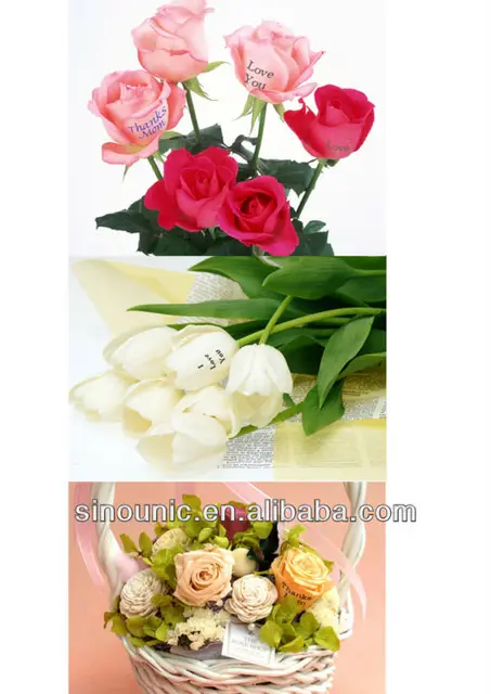 new condition gift and wedding celebration digital mini flower