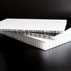PP honeycomb frp sandwich panel