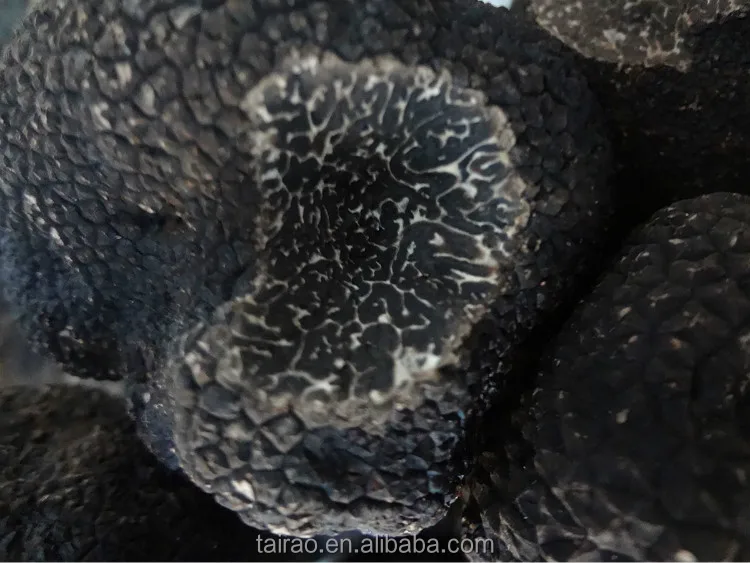 Tuber melanosporum sheet truffle price fresh desert truffles