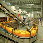 Processing Line Apple Juice Making Machine Fruit Processing Line