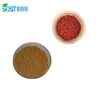 /product-detail/nutritional-supplement-organic-goji-berry-extract-powder-60638400977.html