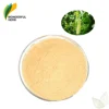 Low price momordica charantia extract gourd seeds Natural Bitter Melon Powder