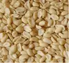 /product-detail/runner-blanched-peanuts-split-139681757.html