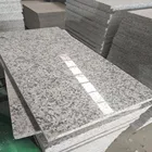 China Natural Quarry Grey Color G602 Cranite Stone Wall Tile for Exterior Cladding