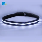 China Supplier Luxury Inflatable Bandana PVC GPS Designer Waterproof Nylon LED Dog Bark Buckle Collar Dog Leash Pet